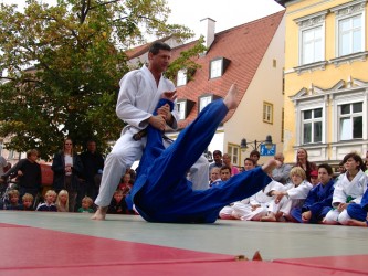Judo - Vorführung am Kinderspaßtag 2009 in Freising