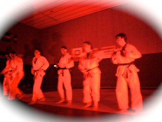 Judo Vorführung beim Jubiläum 30 Jahre Judo Neufahrn 2010